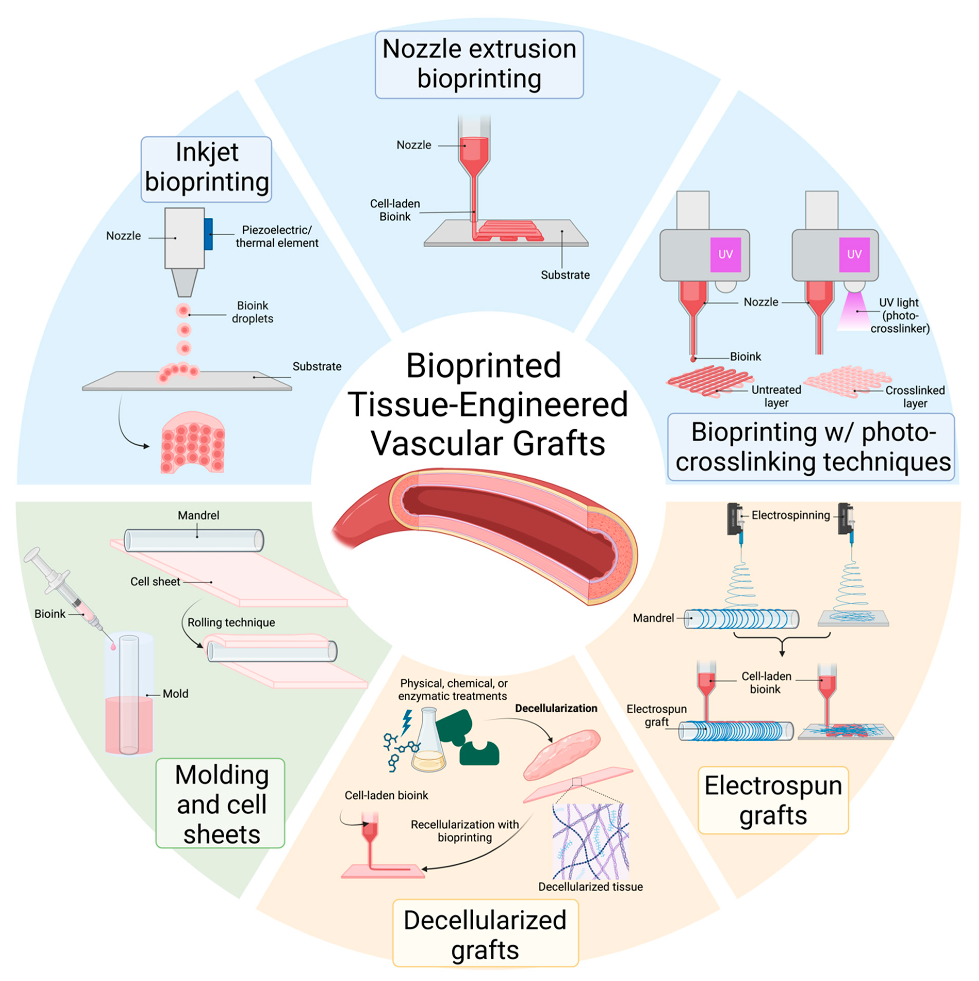 Gels 11 00004 g003 Gels 11 00004 g003