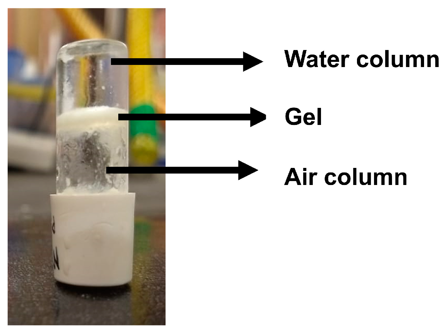 Gels 11 00009 g008 Gels 11 00009 g008