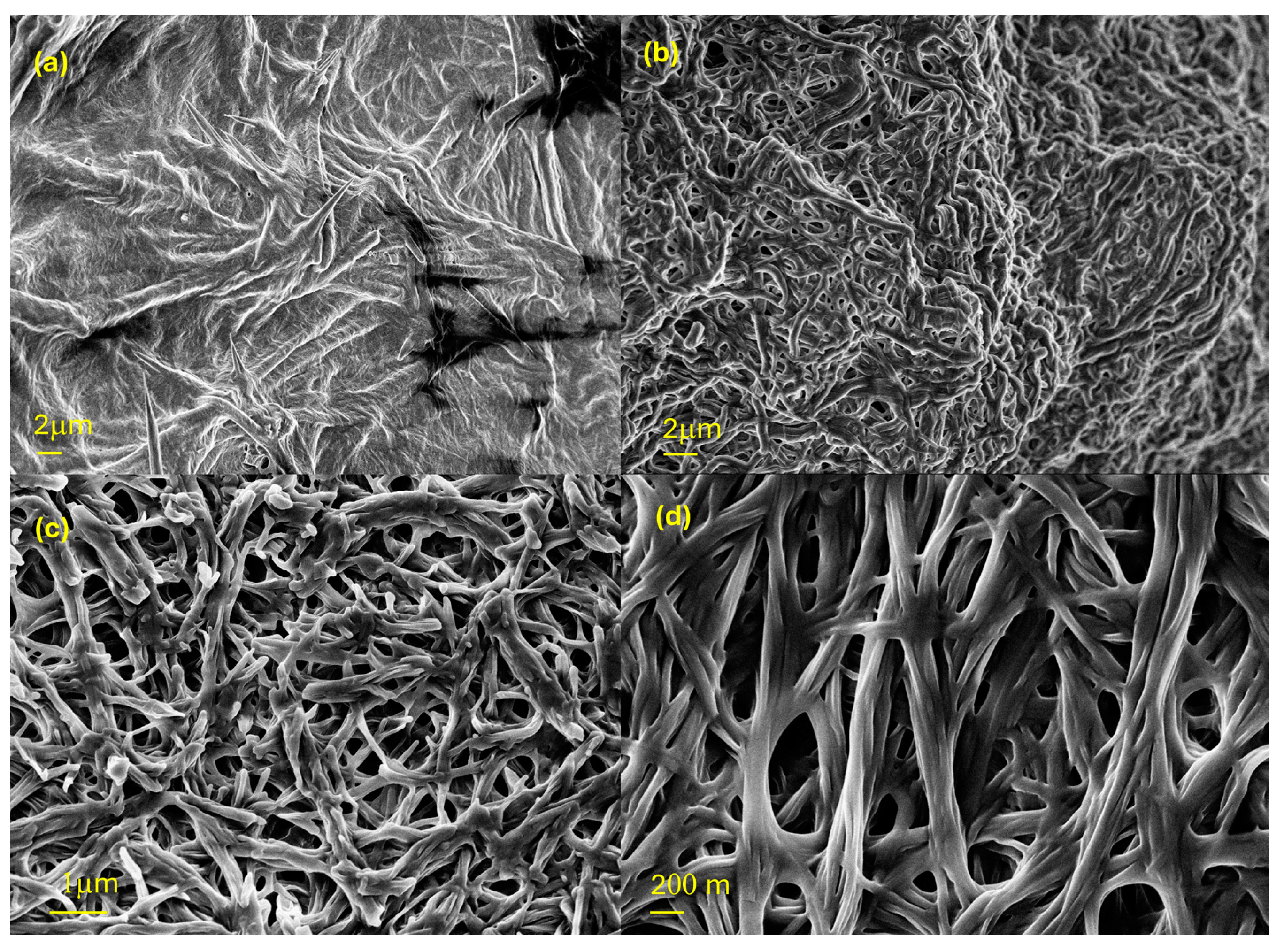 Gels 11 00009 g009 Gels 11 00009 g009