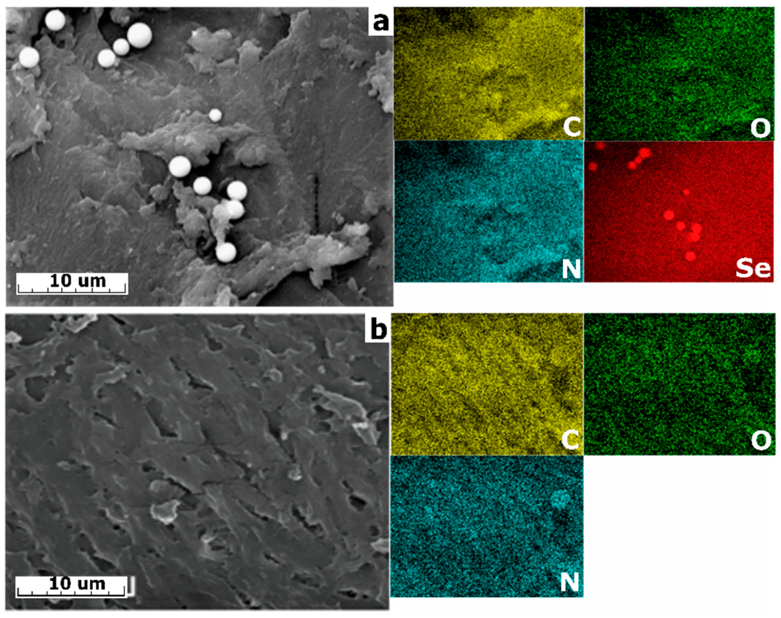 Gels 11 00024 g004 Gels 11 00024 g004
