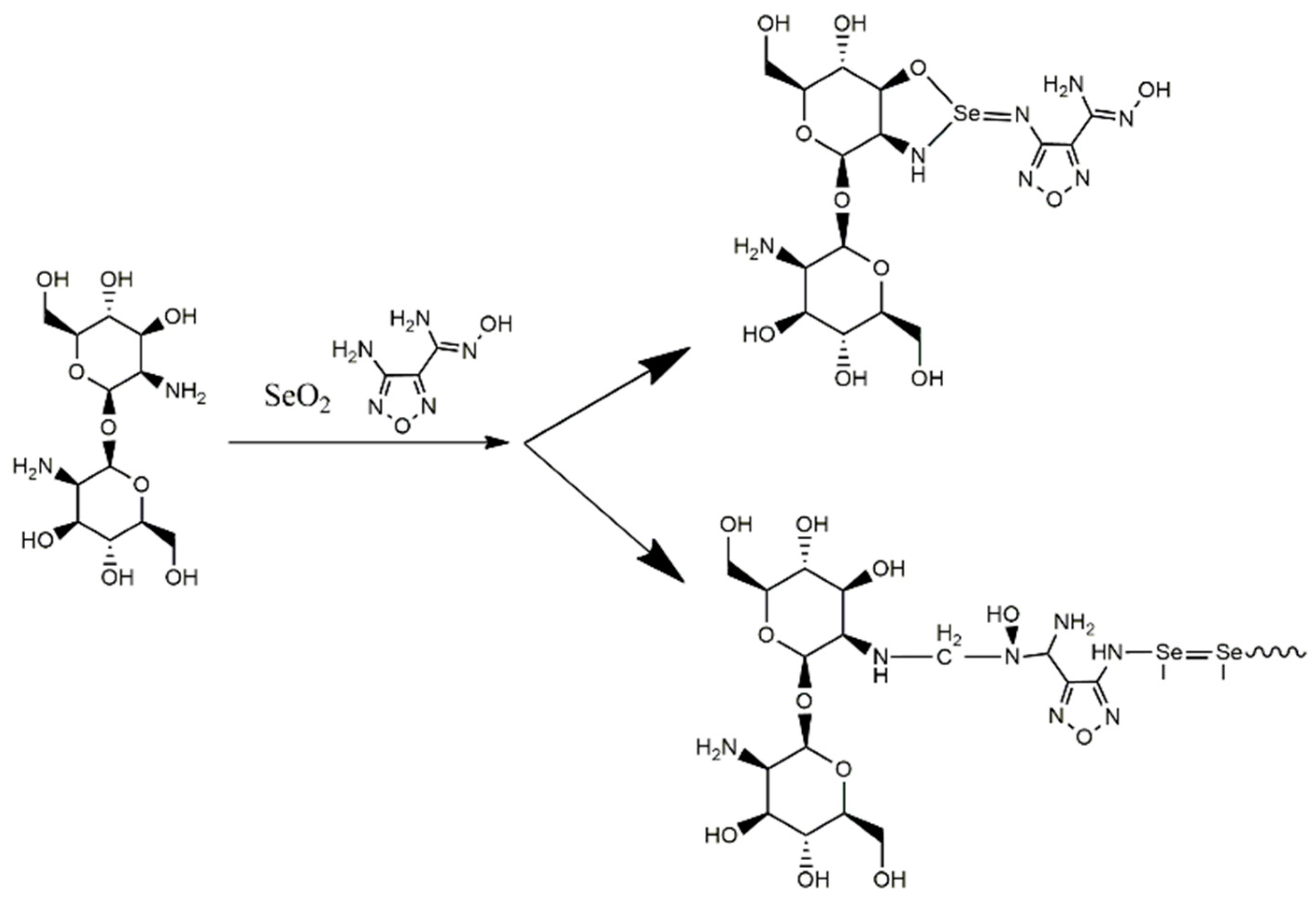 Gels 11 00024 g006 Gels 11 00024 g006