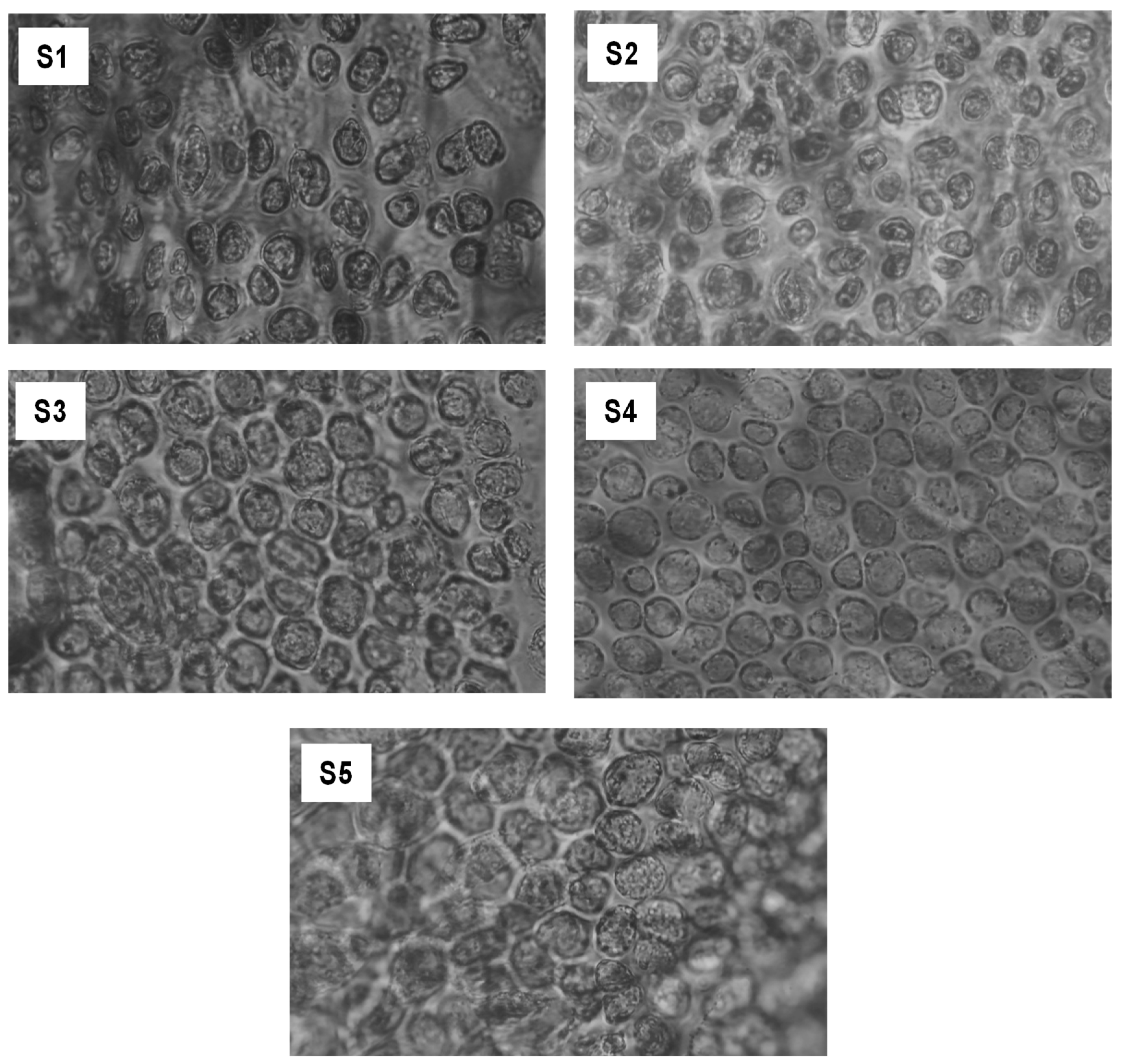 Gels 11 00054 g003