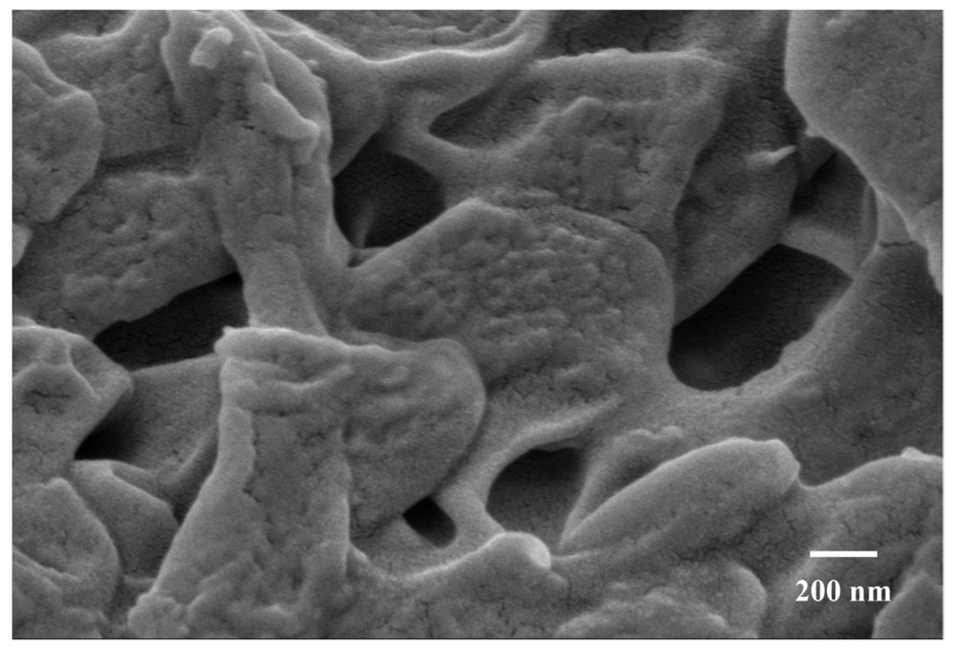 Gels 11 00073 g010 Gels 11 00073 g010