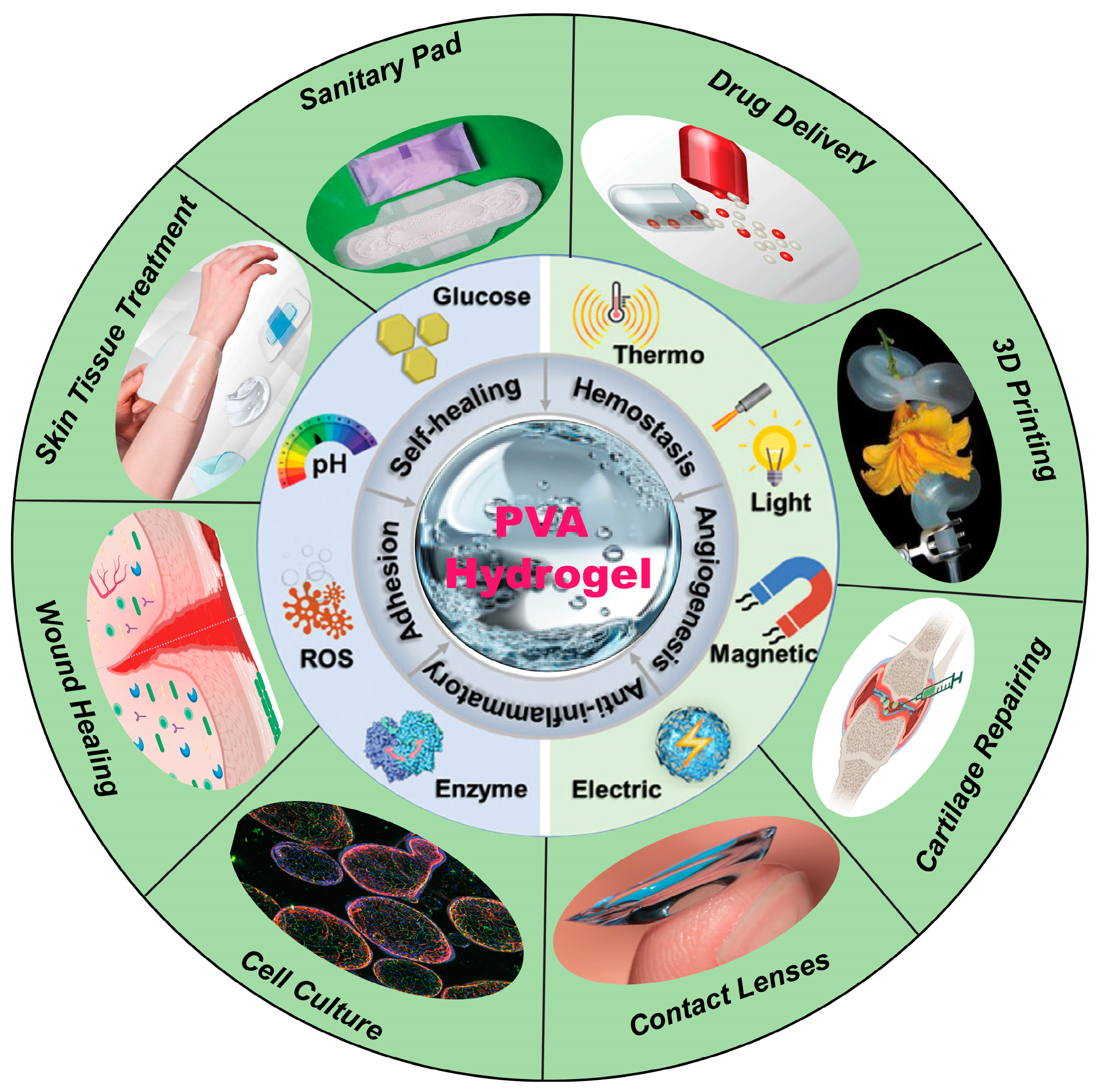 Gels 11 00088 sch001 Gels 11 00088 sch001