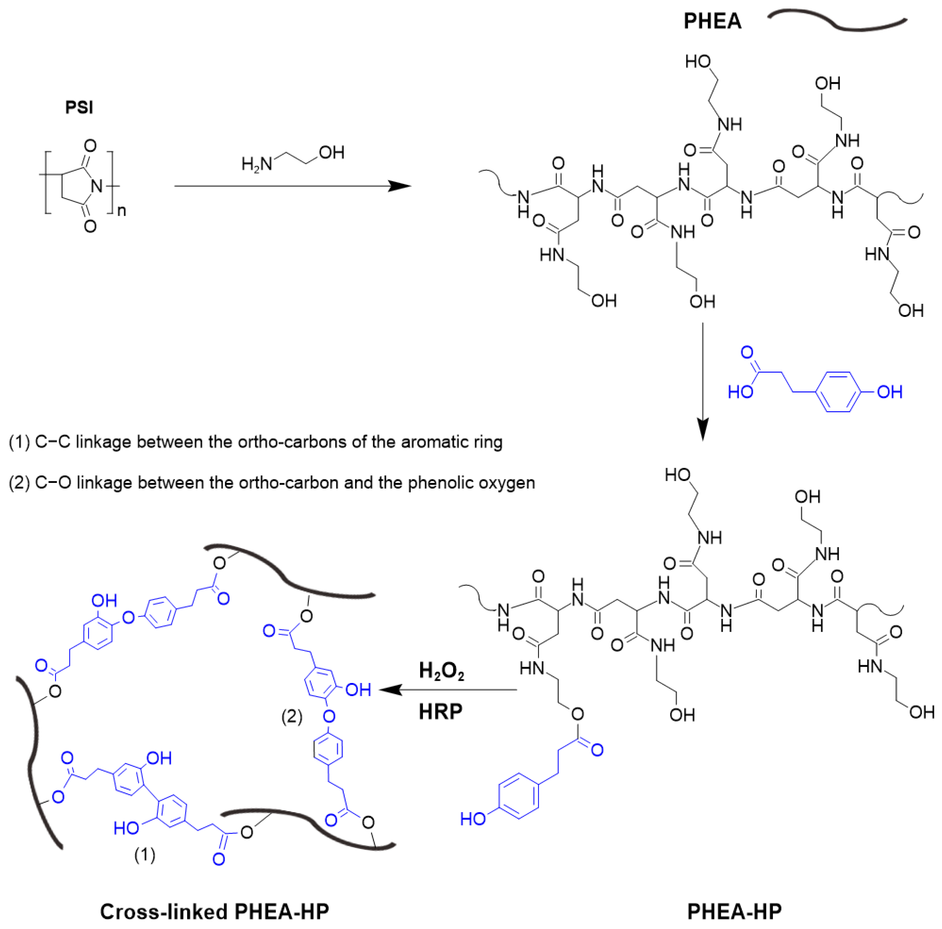 Gels 11 00093 sch001