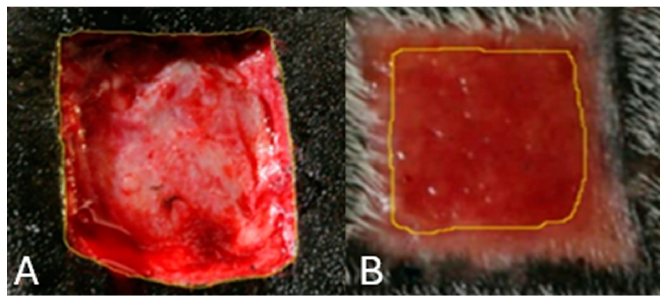 Gels 11 00107 g009
