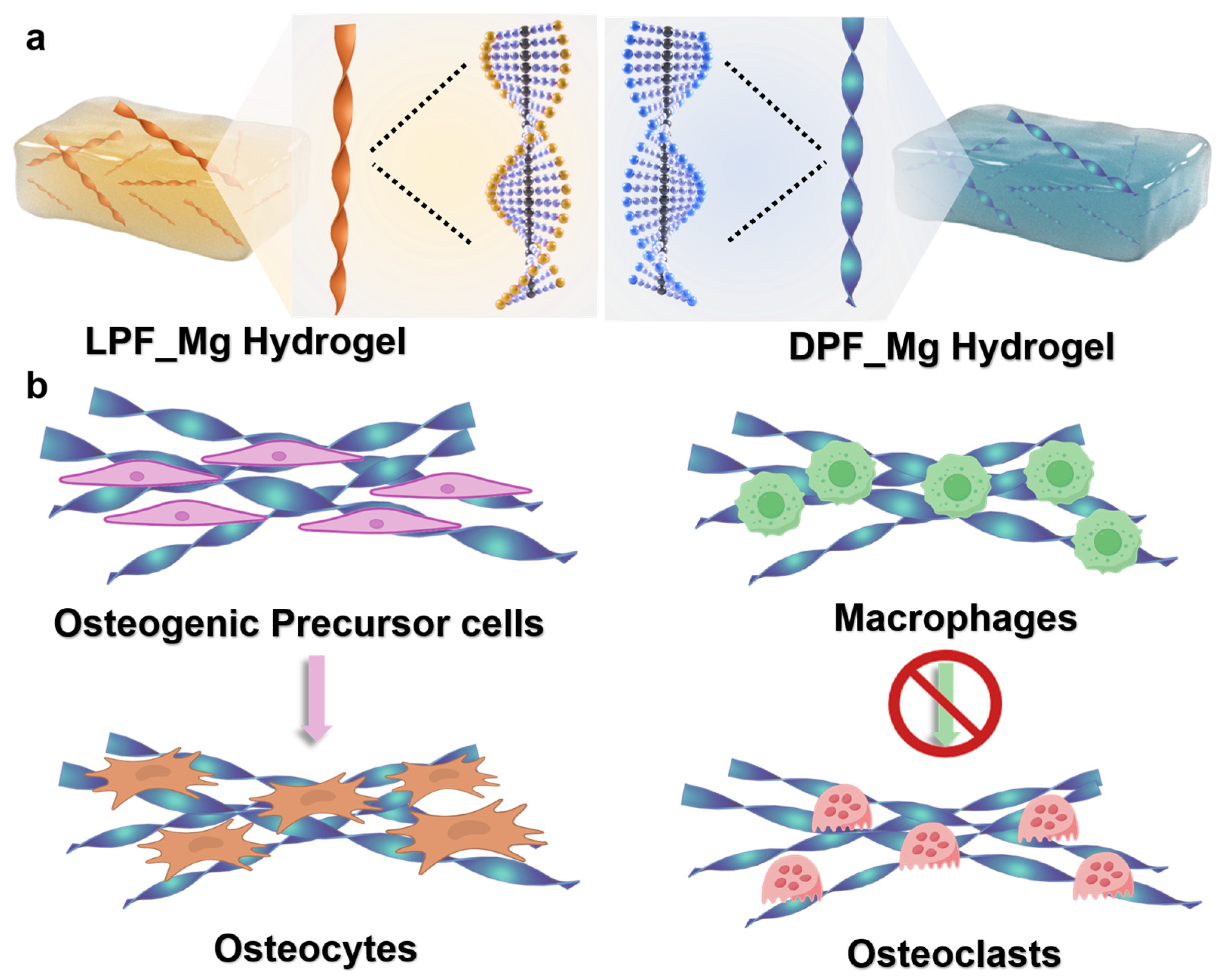 Gels 11 00112 sch001
