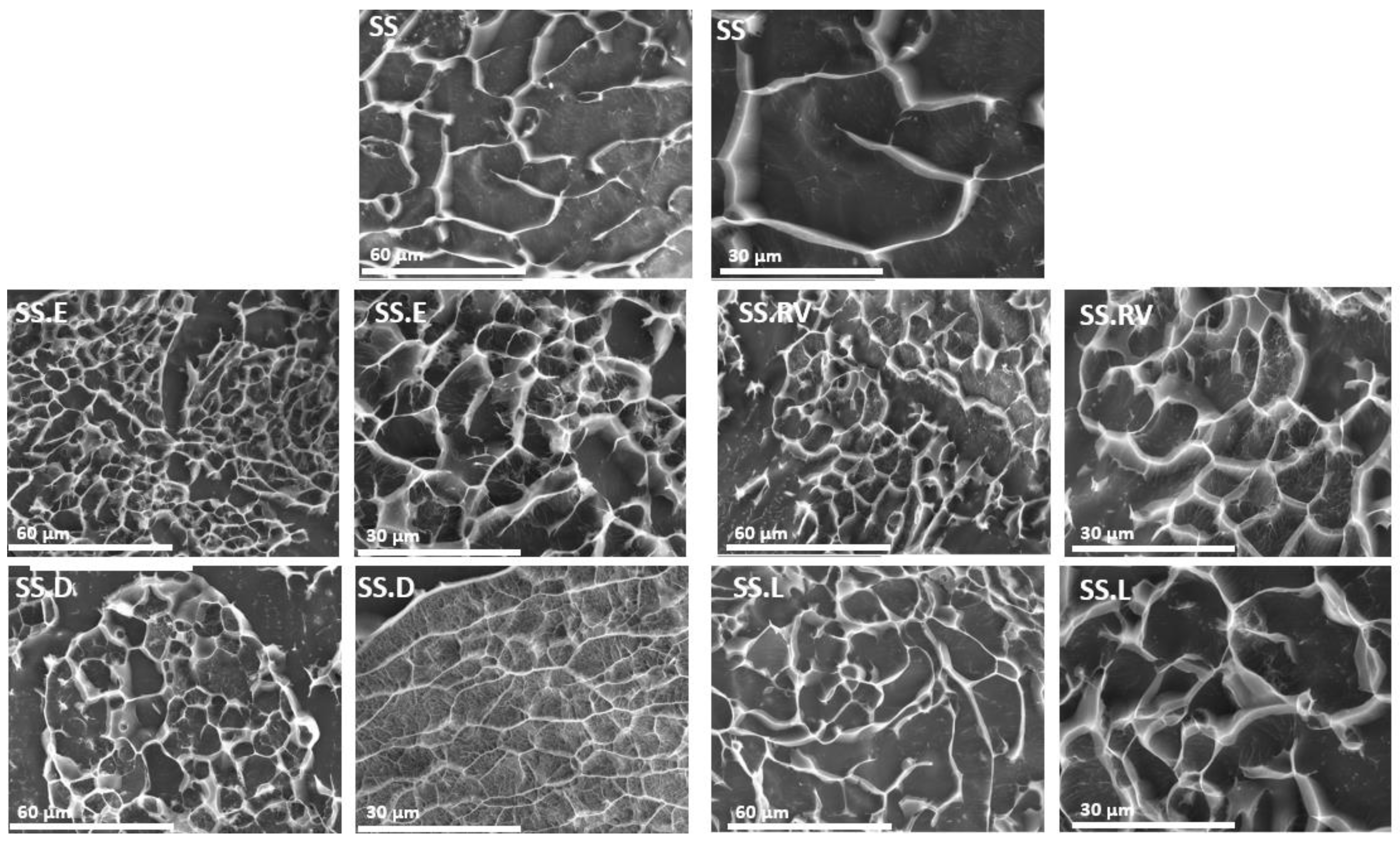 Gels 11 00114 g004 Gels 11 00114 g004