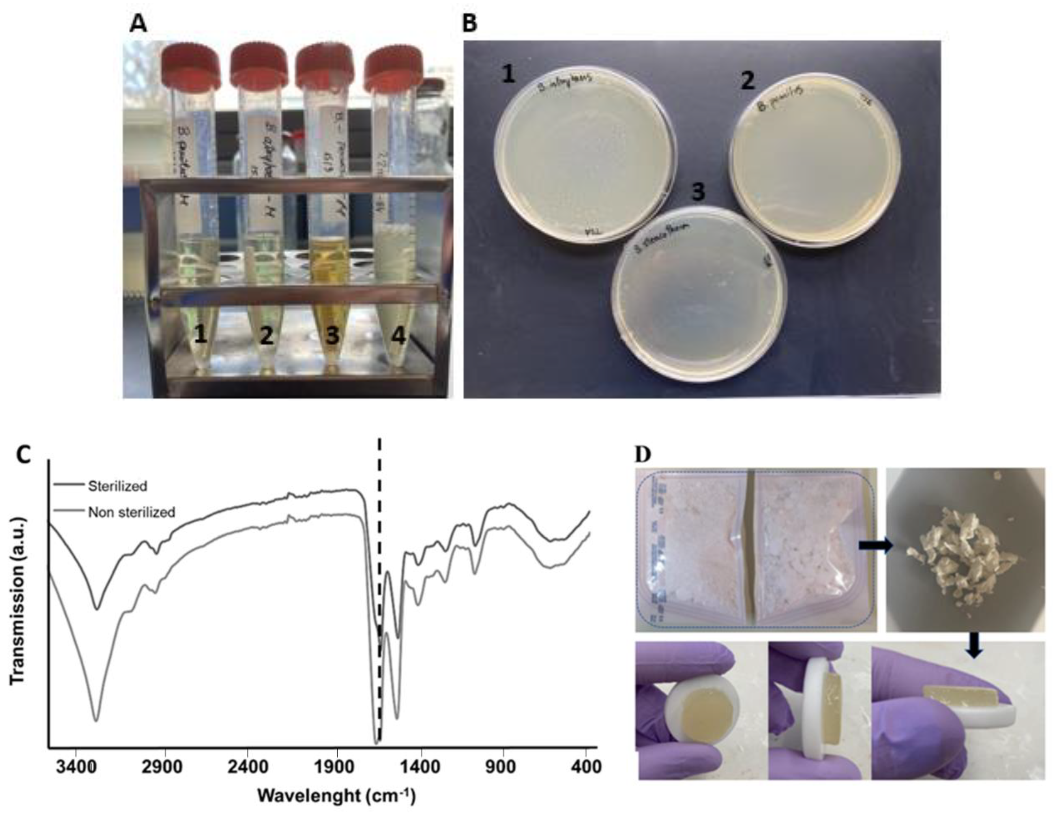 Gels 11 00114 g006 Gels 11 00114 g006