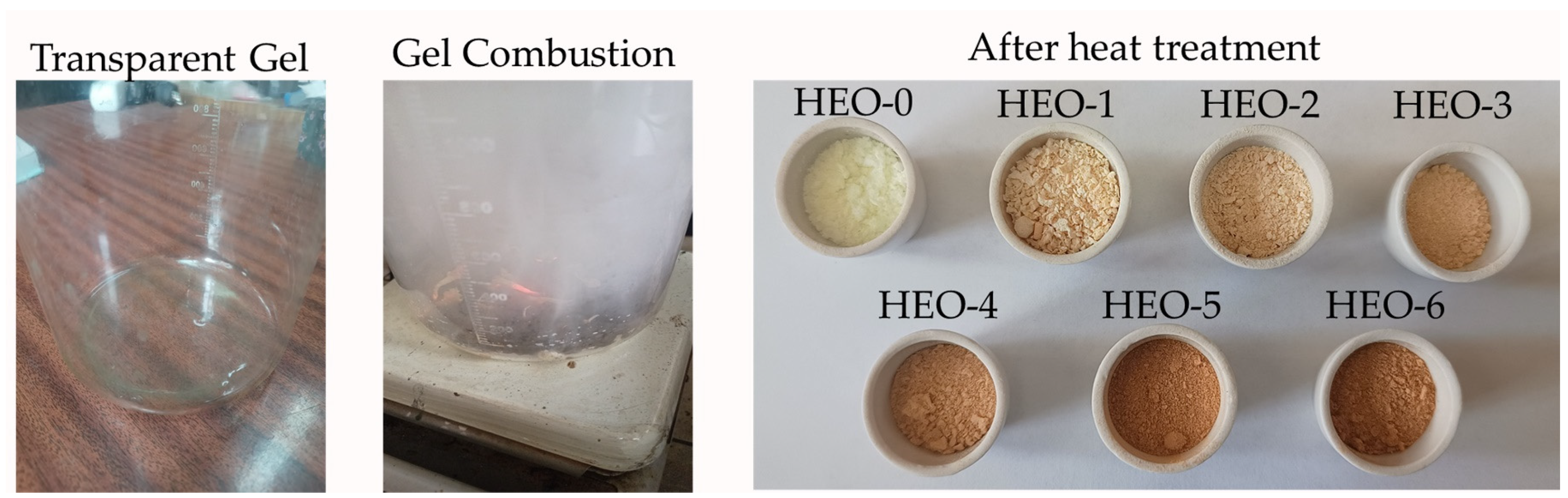 Gels 11 00117 sch001