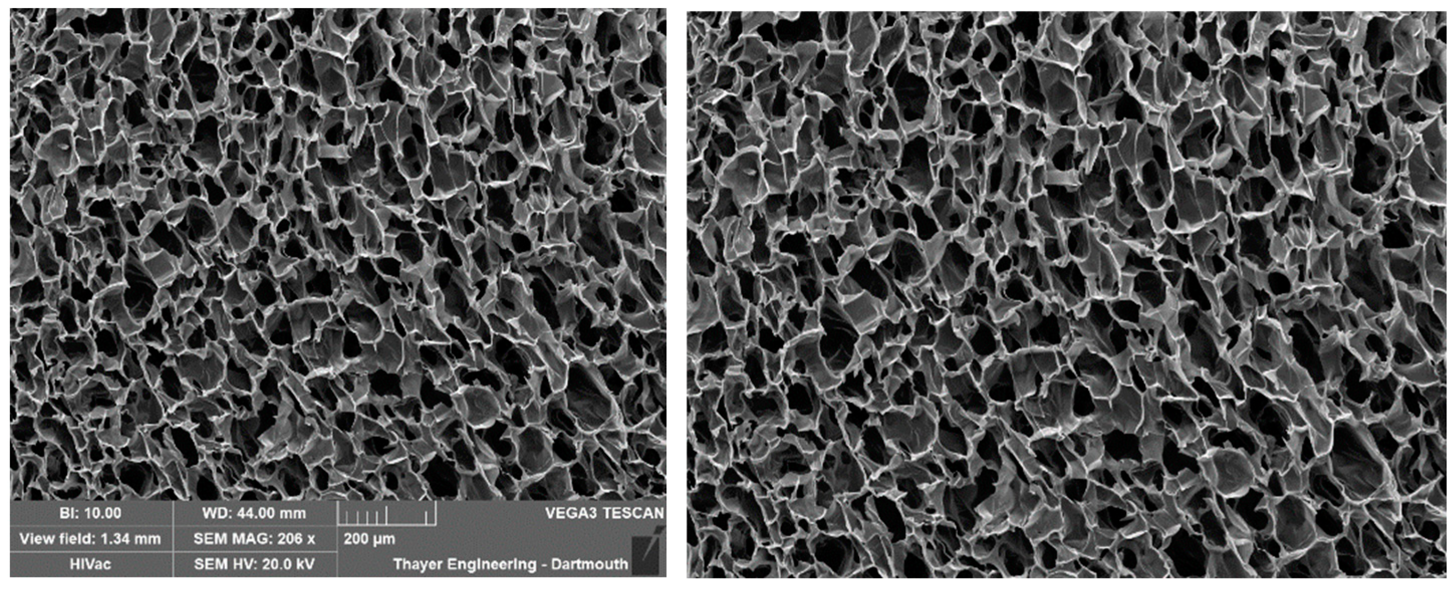 Gels 11 00132 g007 Gels 11 00132 g007