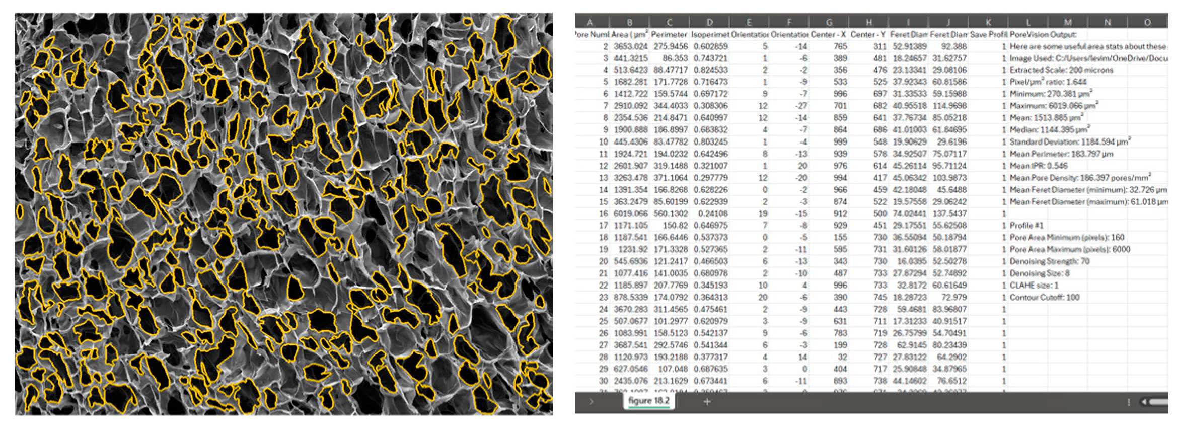 Gels 11 00132 g013 Gels 11 00132 g013