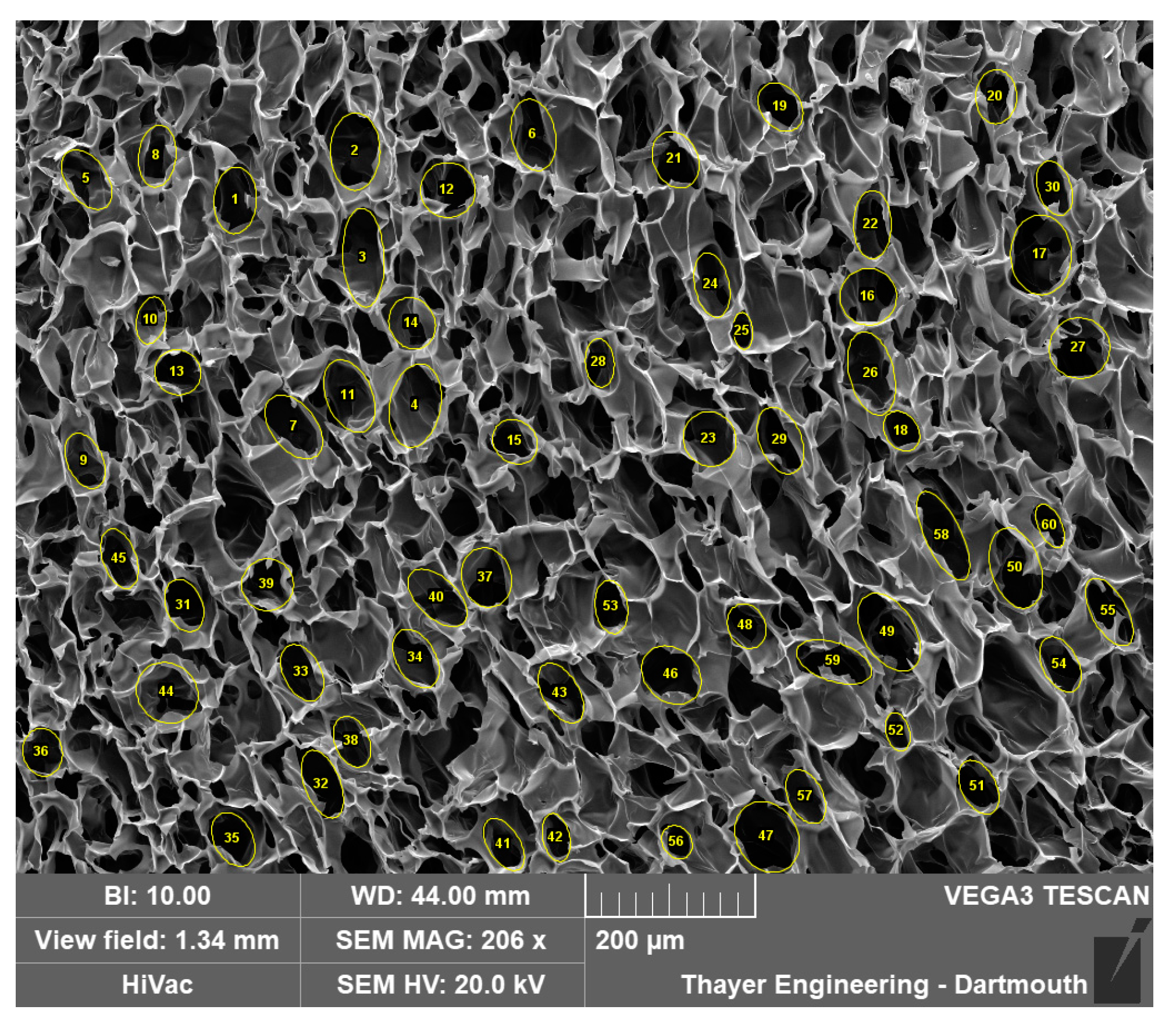 Gels 11 00132 g015 Gels 11 00132 g015