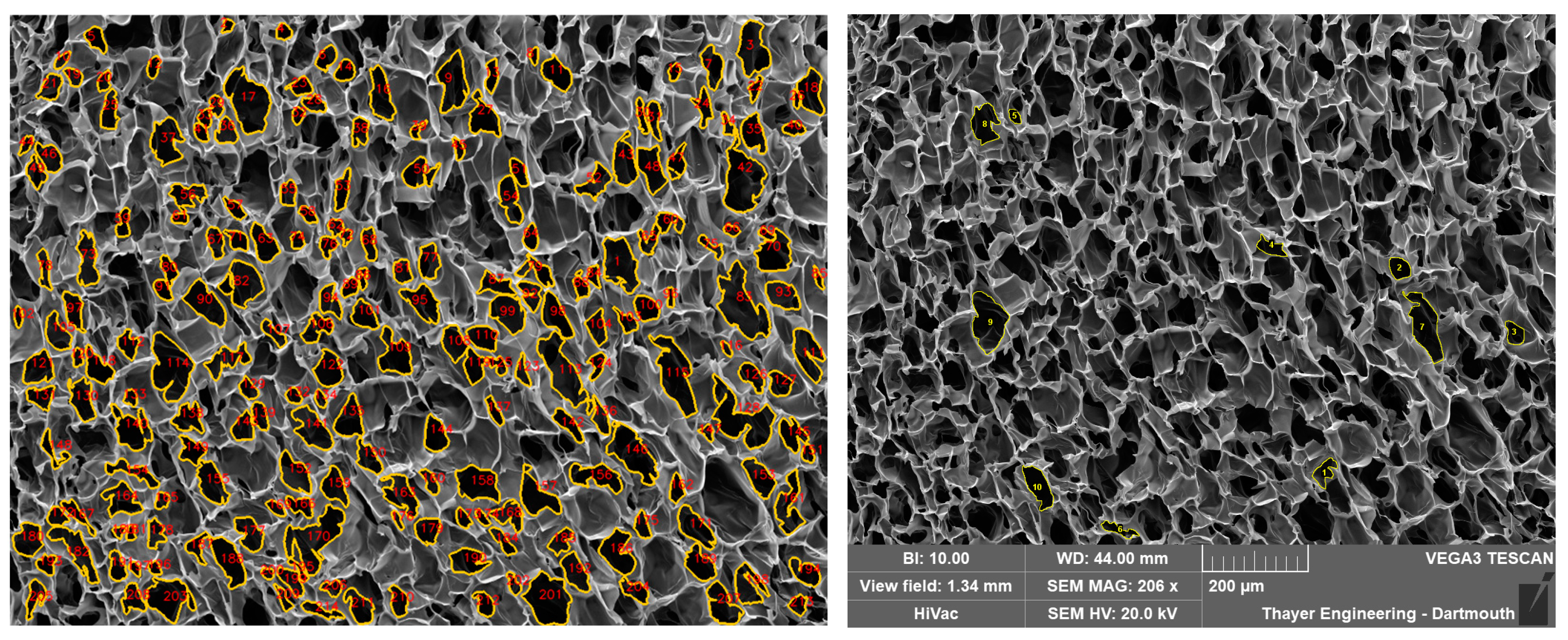 Gels 11 00132 g016 Gels 11 00132 g016