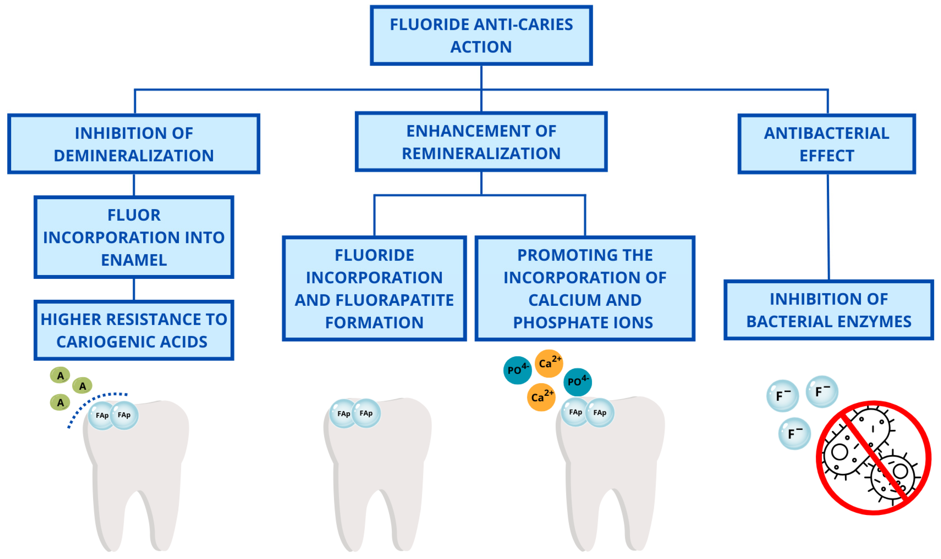 Gels 11 00135 g001 Gels 11 00135 g001