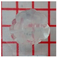Gels 11 00144 i023
