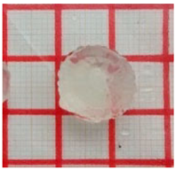 Gels 11 00144 i032