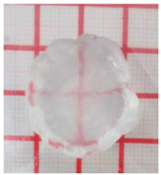 Gels 11 00144 i034