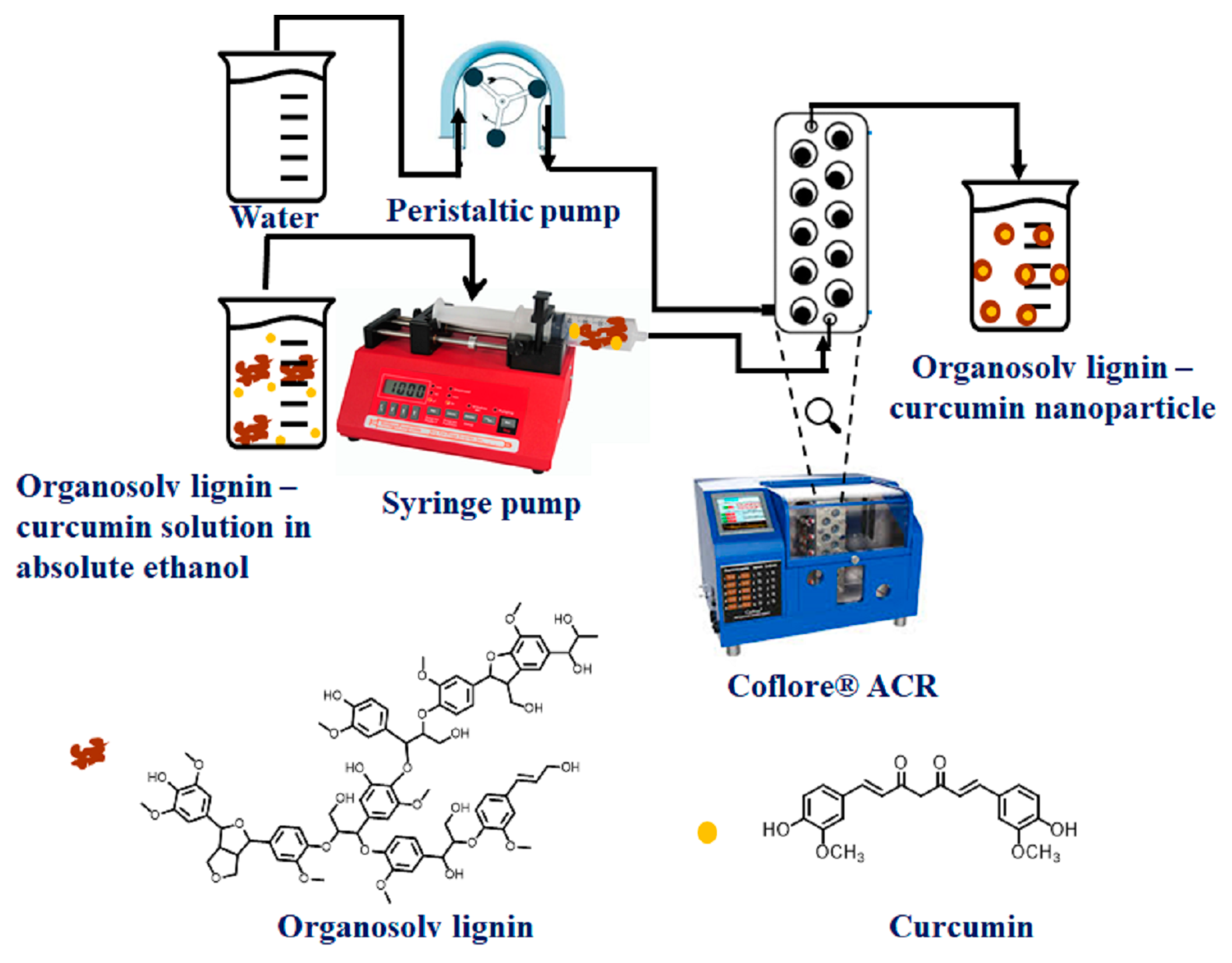 Gels 11 00168 sch001