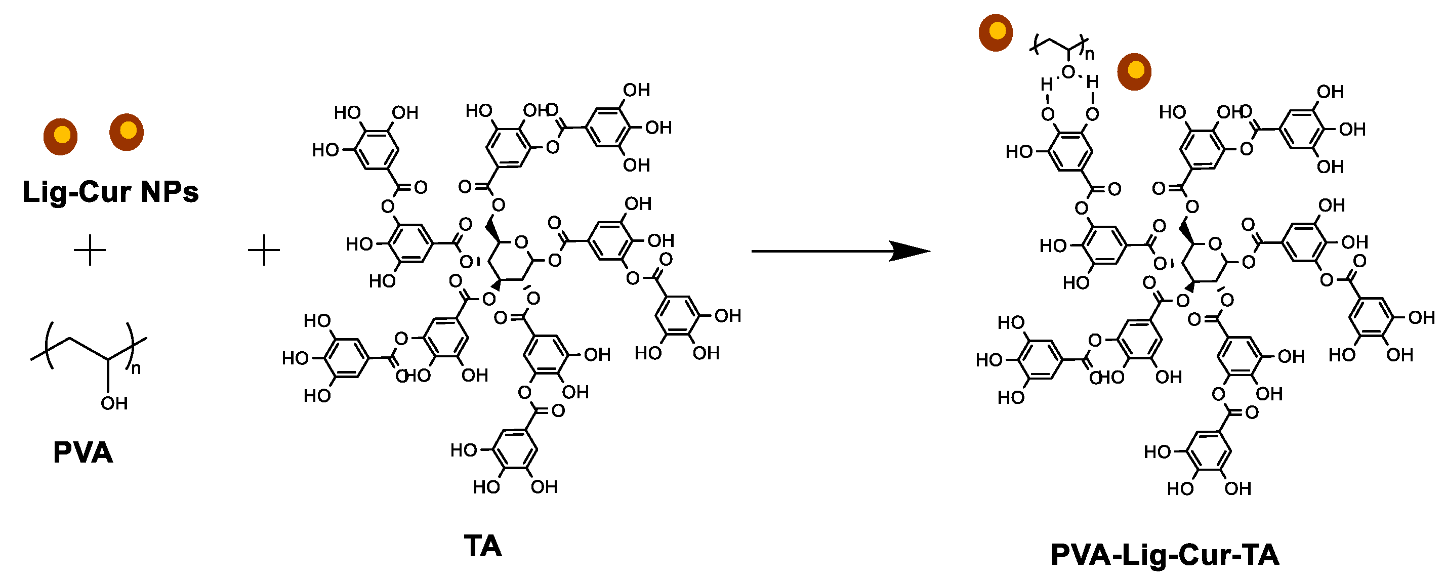 Gels 11 00168 sch002
