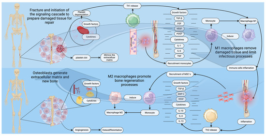 専用ページ⑤ JTC4091 ブッシュリムーバー&インサーター JTC 全長450mm