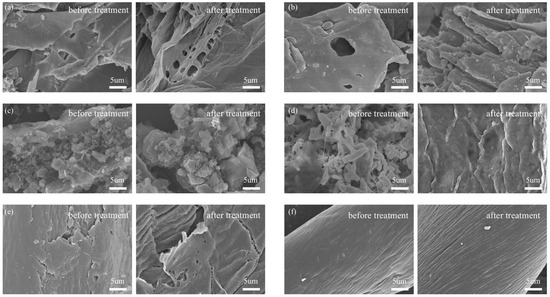 Preliminary Investigation into the Use of Amino-Acid-Derived