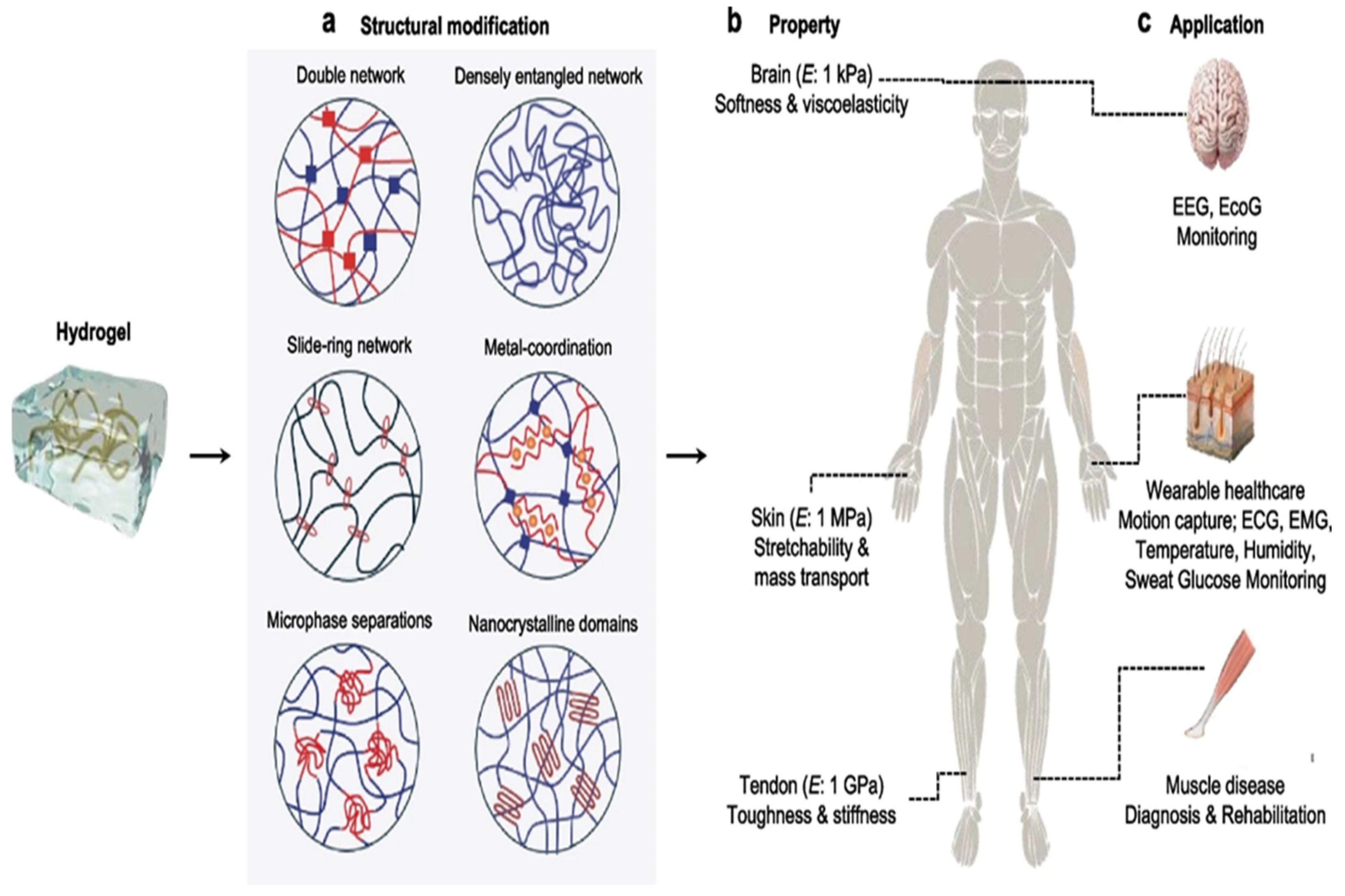 Gels 11 00232 g002 Gels 11 00232 g002