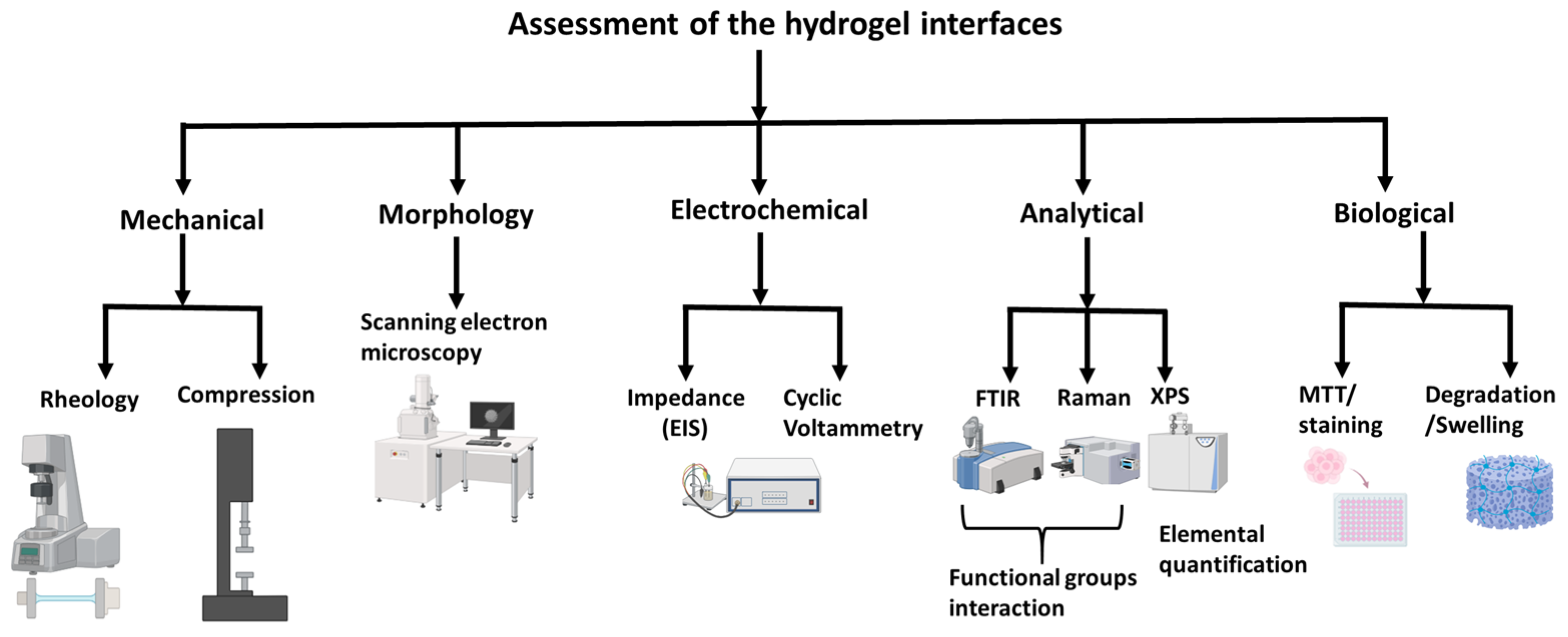 Gels 11 00232 g004 Gels 11 00232 g004
