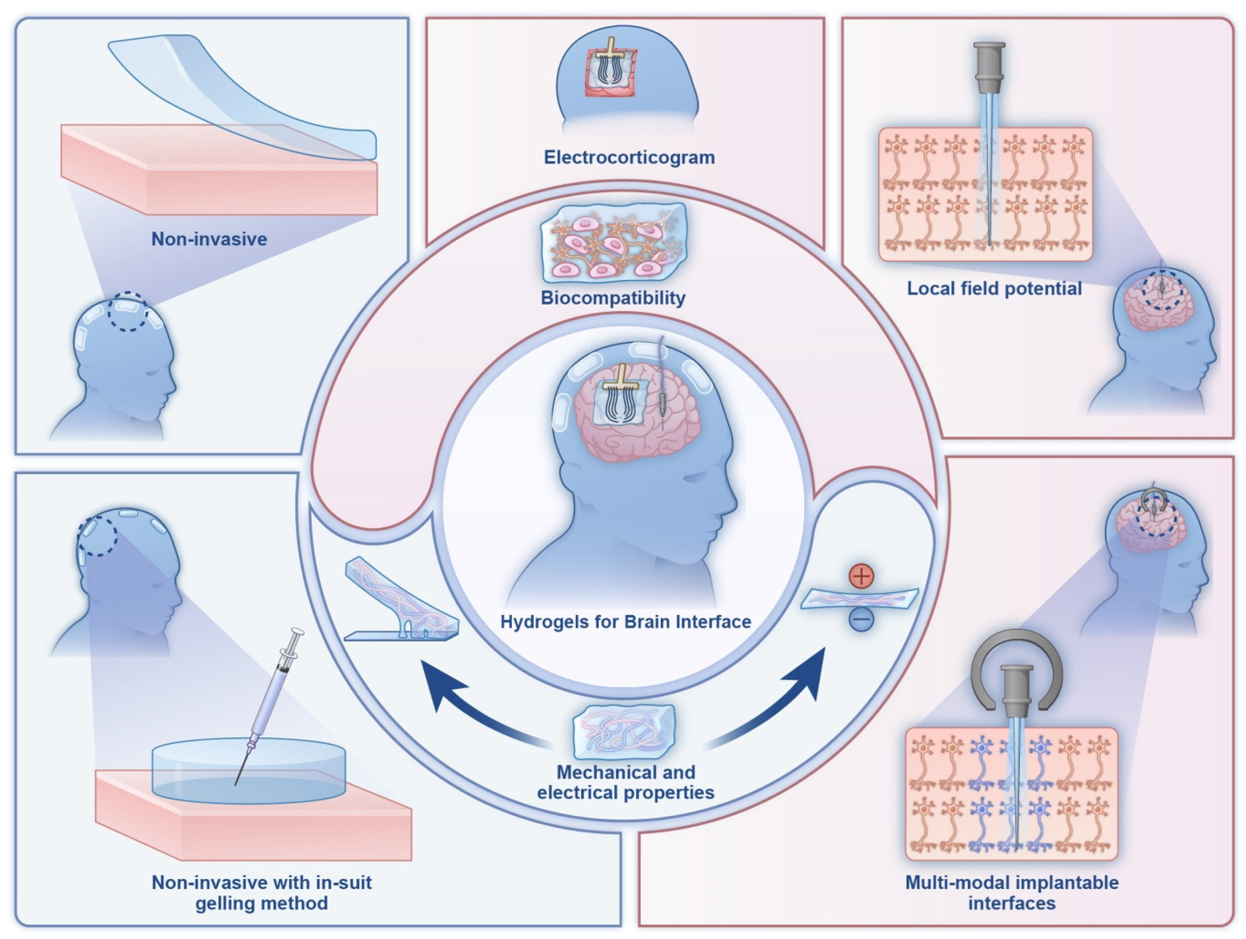 Gels 11 00232 g006 Gels 11 00232 g006