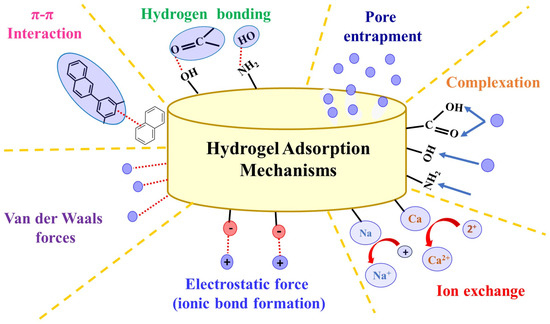 Hydrogel Overview New Trends in Preparation and Use of Hydrogels for Water Treatment