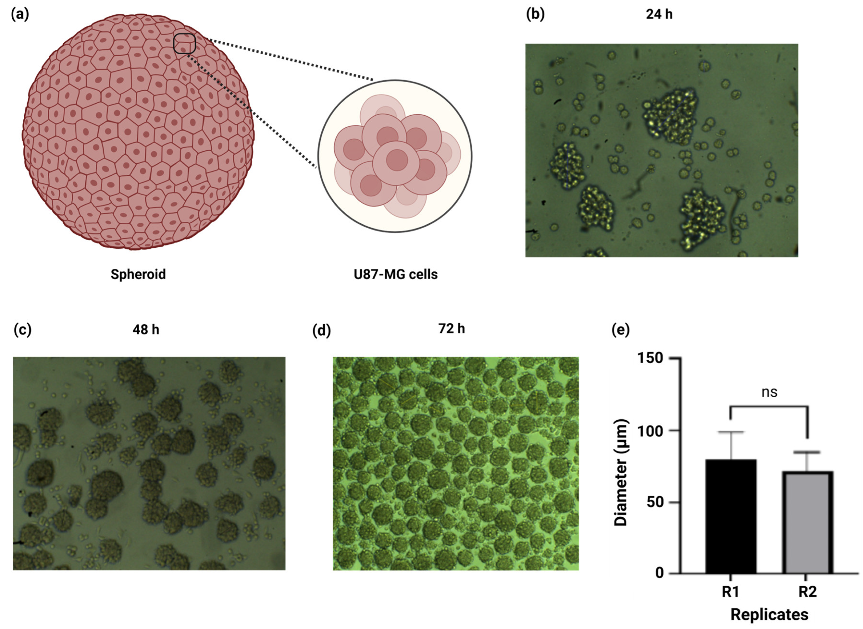 Gels 11 00263 g004 Gels 11 00263 g004