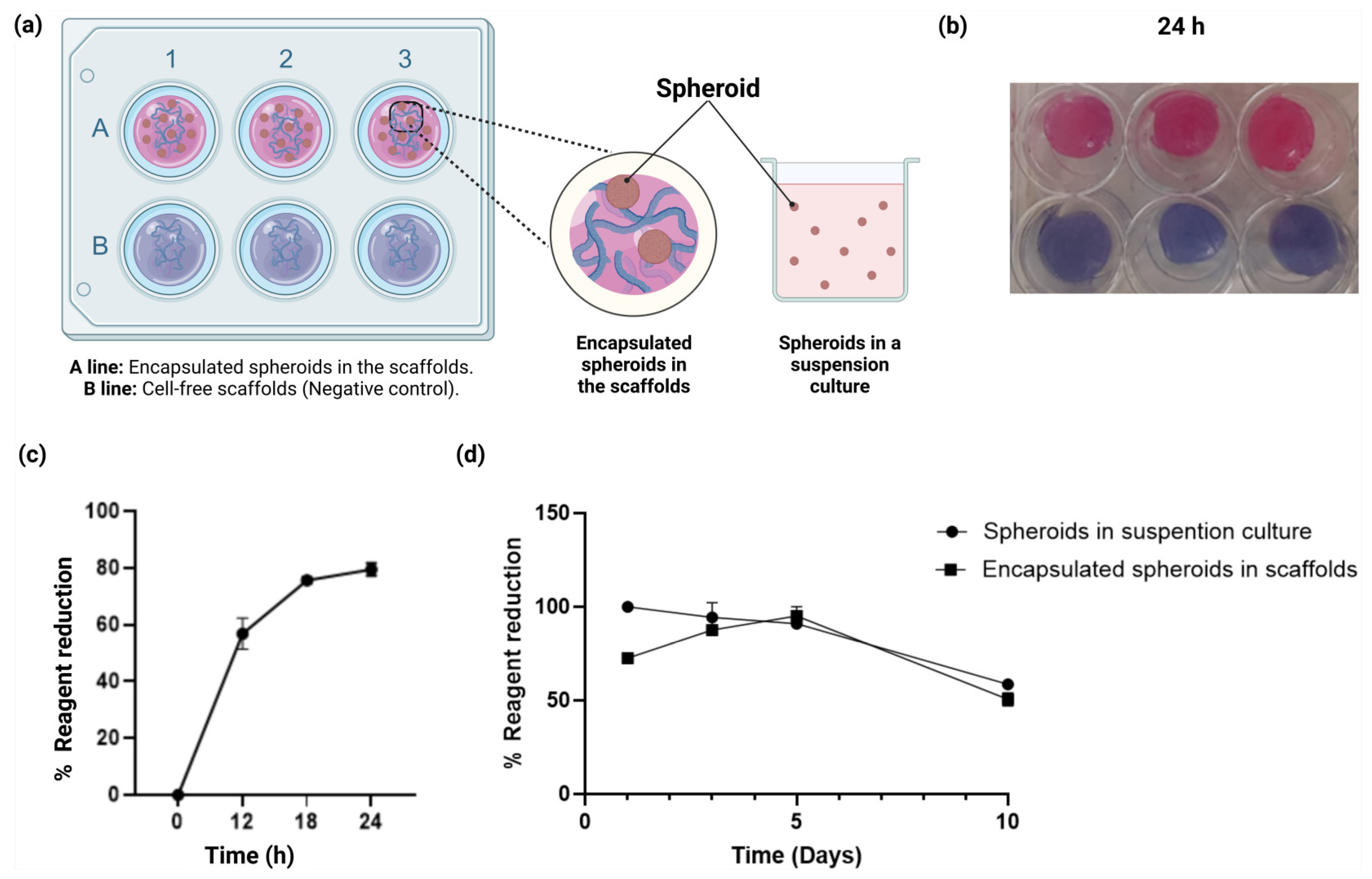 Gels 11 00263 g005 Gels 11 00263 g005
