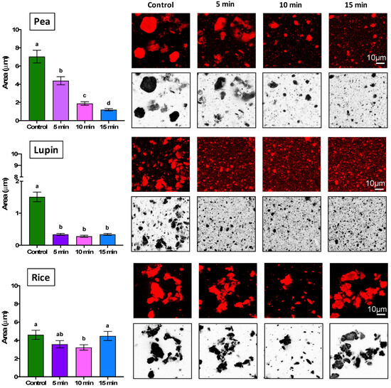 Effect of Ultrasound Time on Structural and Gelling Properties of