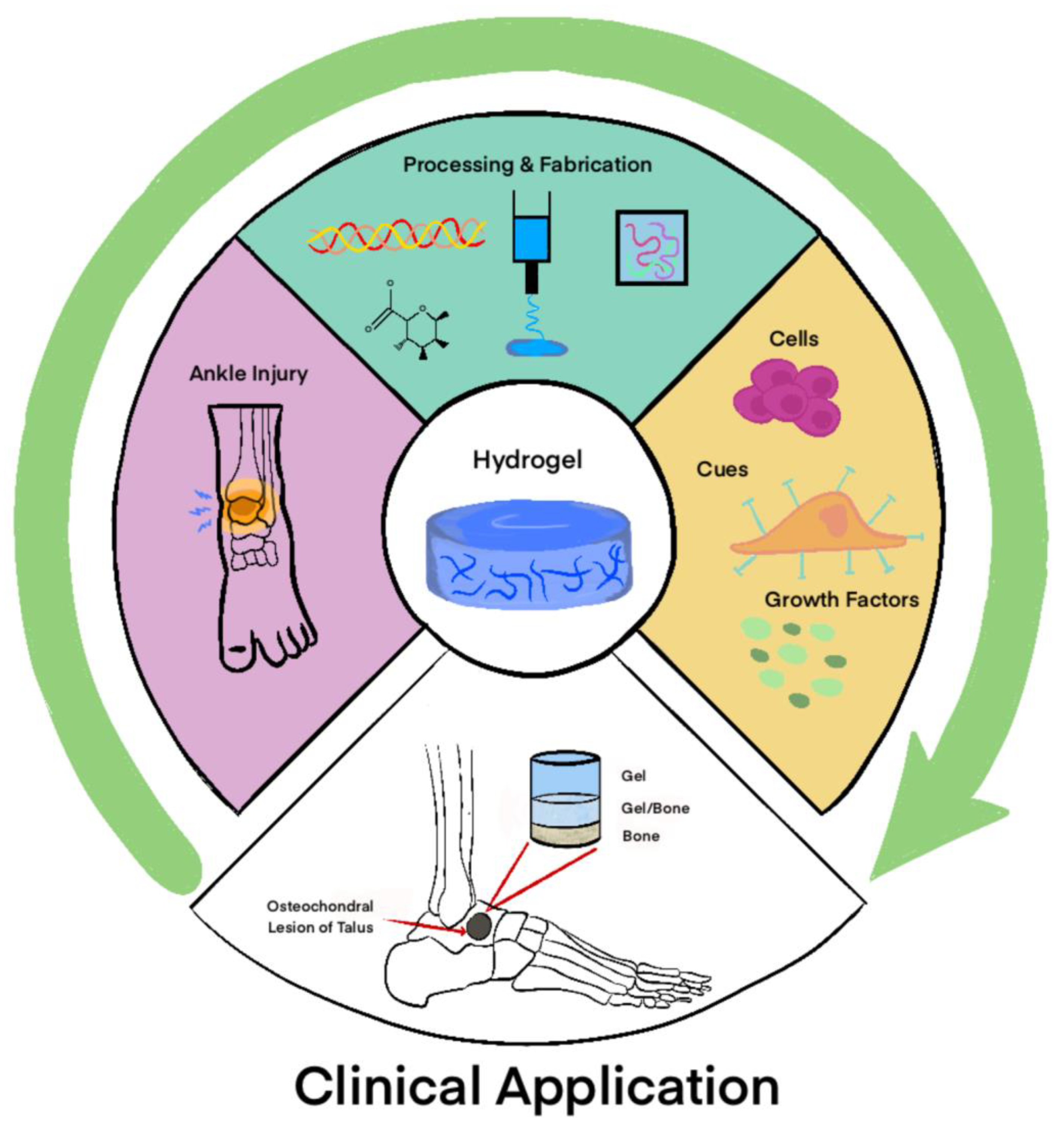 Gels 11 00316 g004 Gels 11 00316 g004