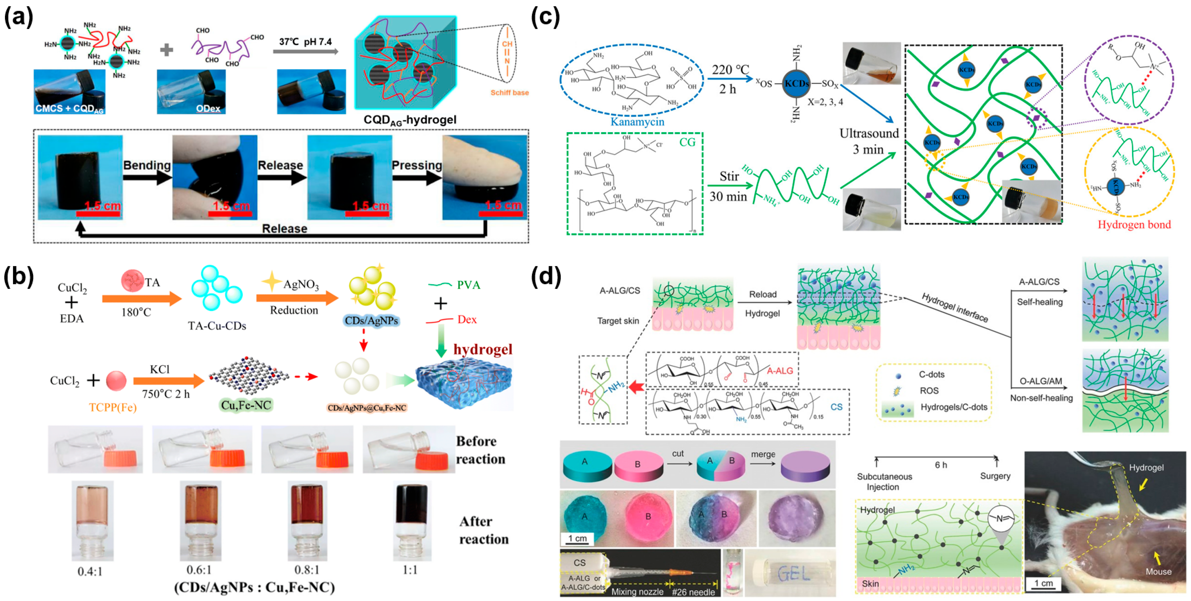 Gels 11 00345 g002 Gels 11 00345 g002