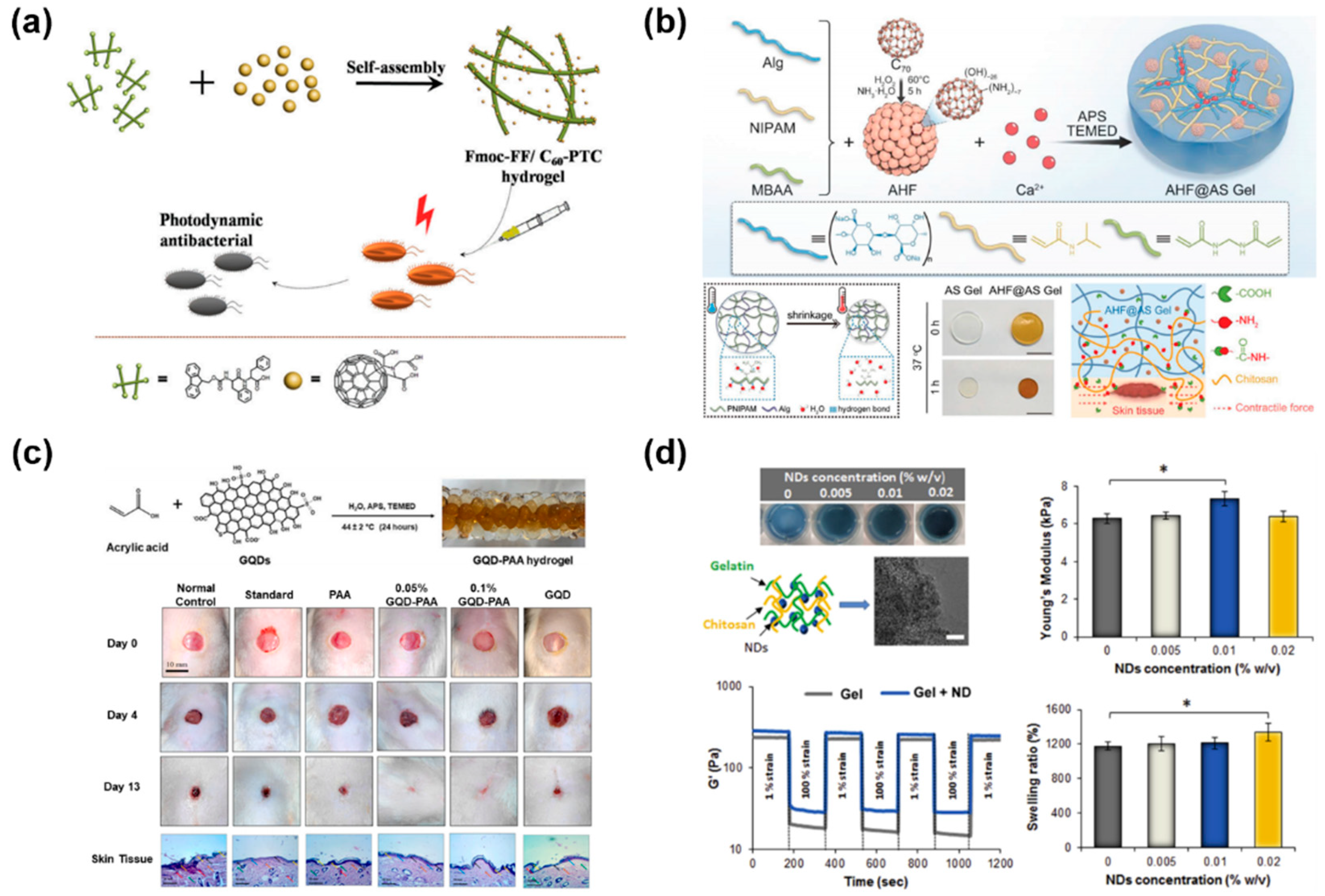Gels 11 00345 g003 Gels 11 00345 g003