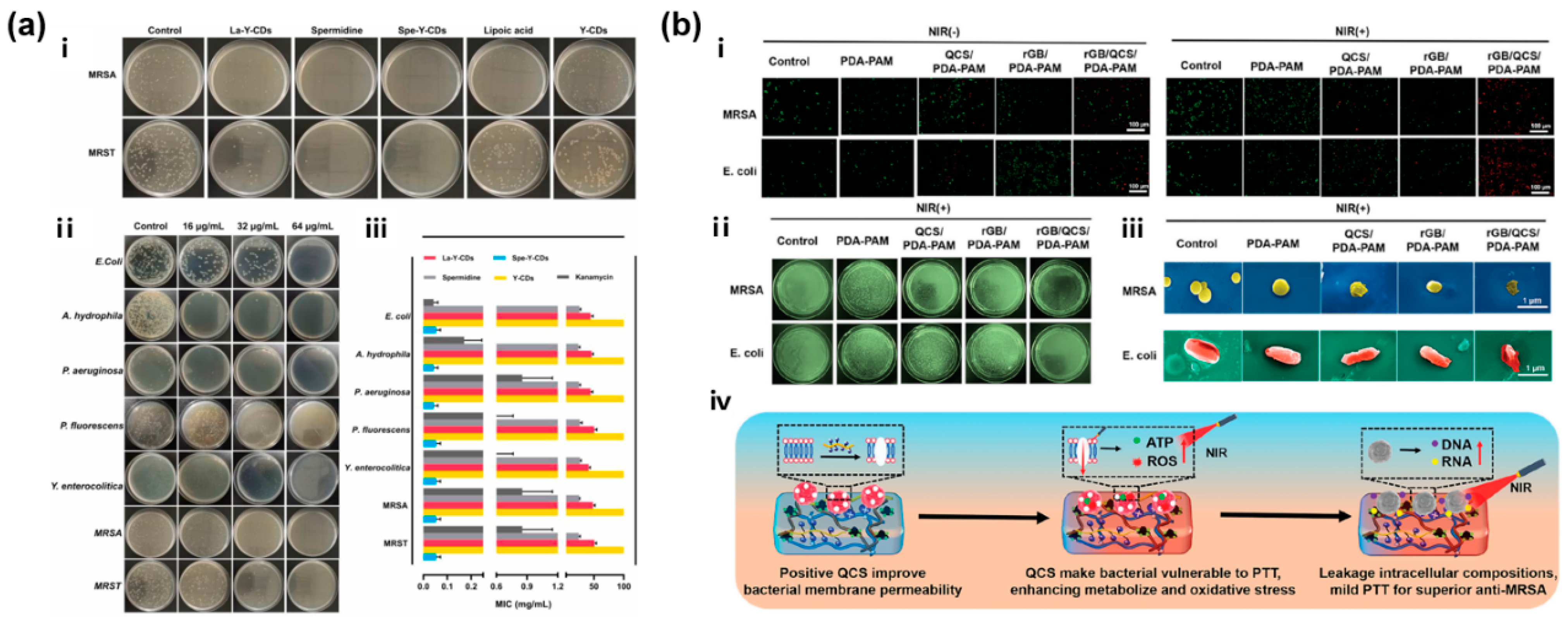Gels 11 00345 g006 Gels 11 00345 g006
