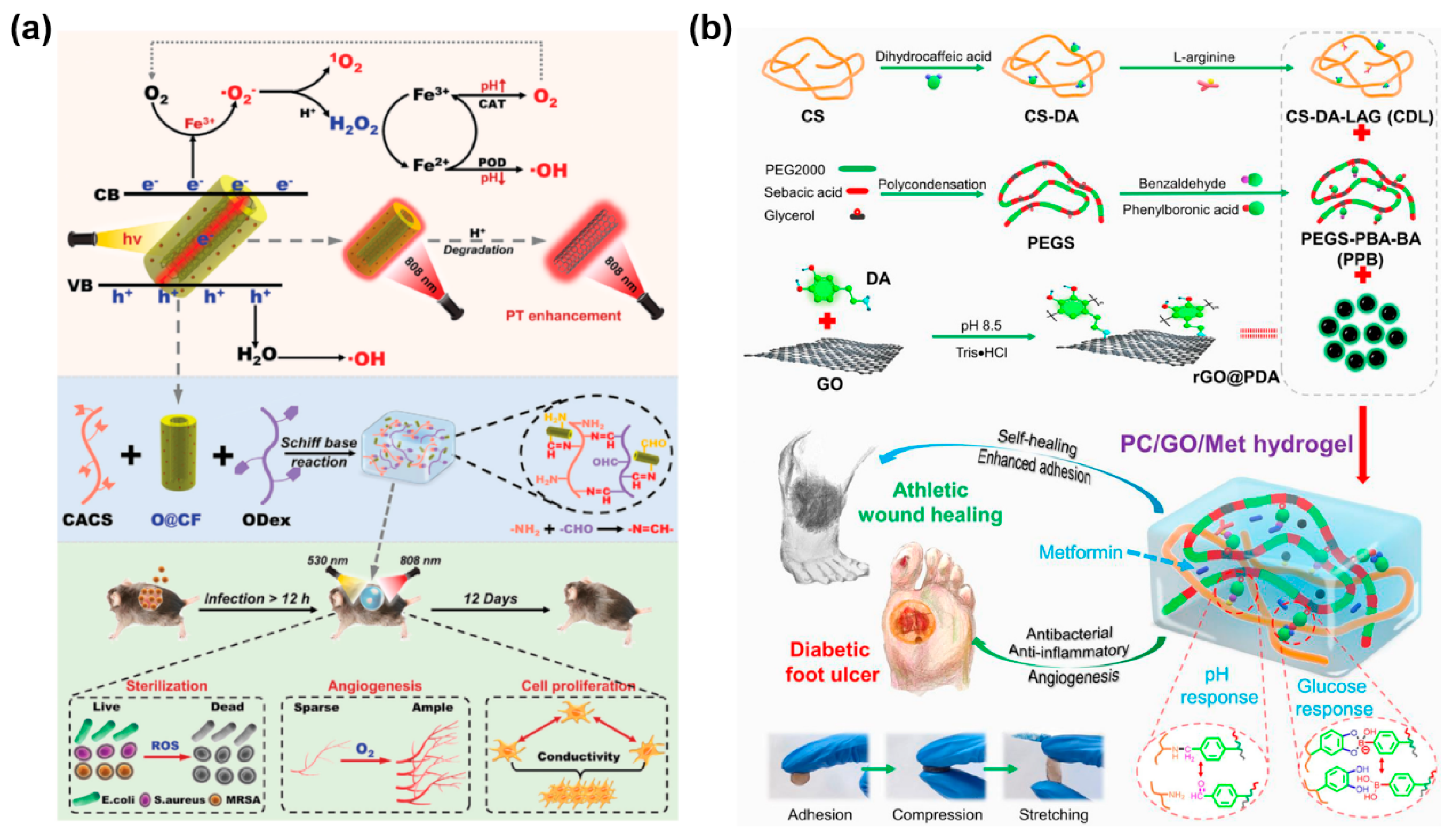 Gels 11 00345 g007 Gels 11 00345 g007