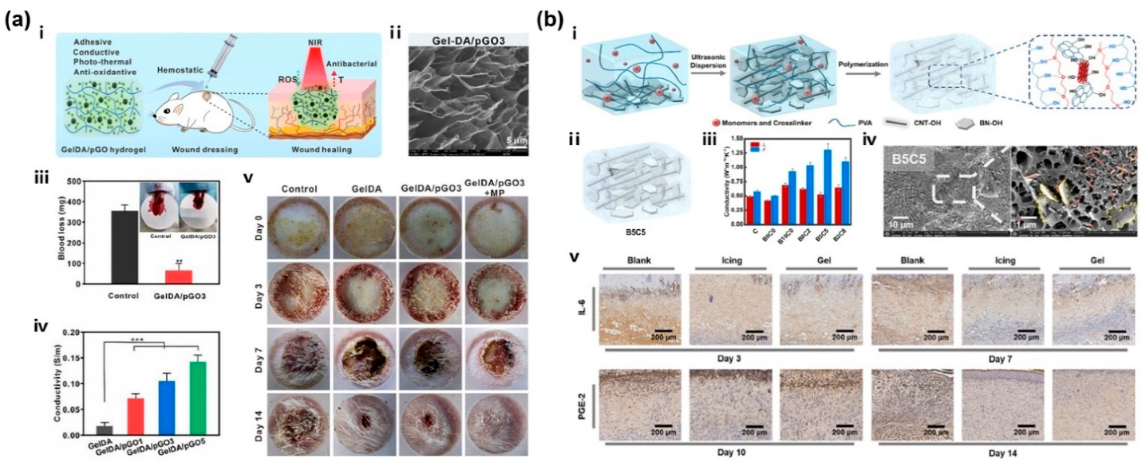 Gels 11 00345 g008 Gels 11 00345 g008