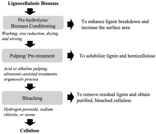 Recent Advances in the Utilization of Cellulose from Food Processing ...