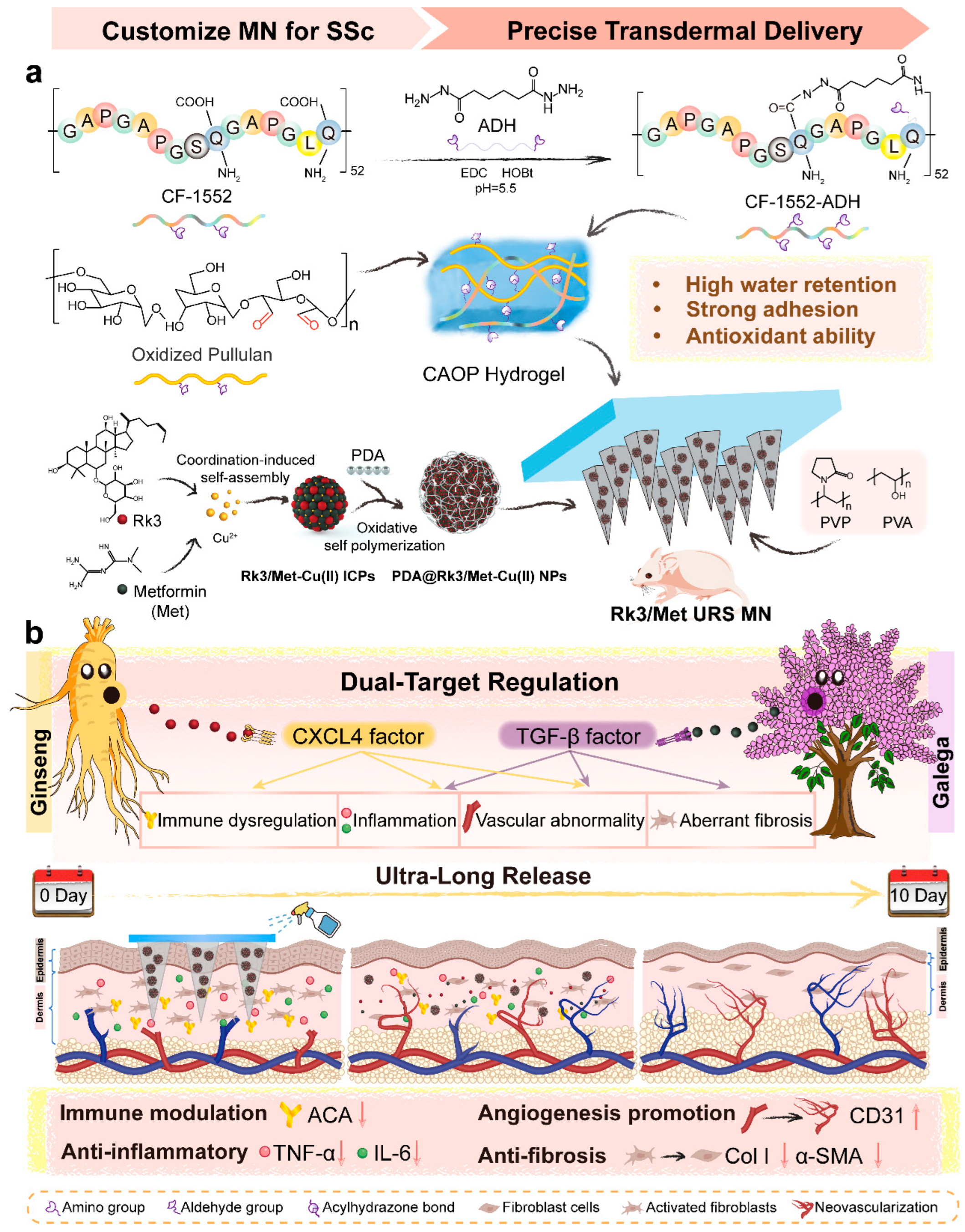 Gels 11 00384 sch001