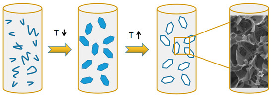 Preparation of Polymyxin B-Functionalized Cryogels for