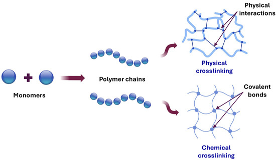 マリエ Cellulose-Based Hybrid Hydrogels for Tissue Engineering