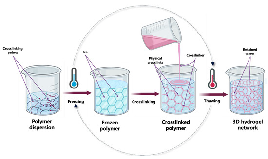 Cellulose-Based Hybrid Hydrogels for Tissue Engineering