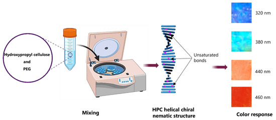 マリエ Cellulose-Based Hybrid Hydrogels for Tissue Engineering
