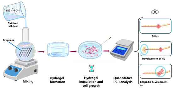 Ajax　オーダー専用ページ Cellulose-Based Hybrid Hydrogels for Tissue Engineering