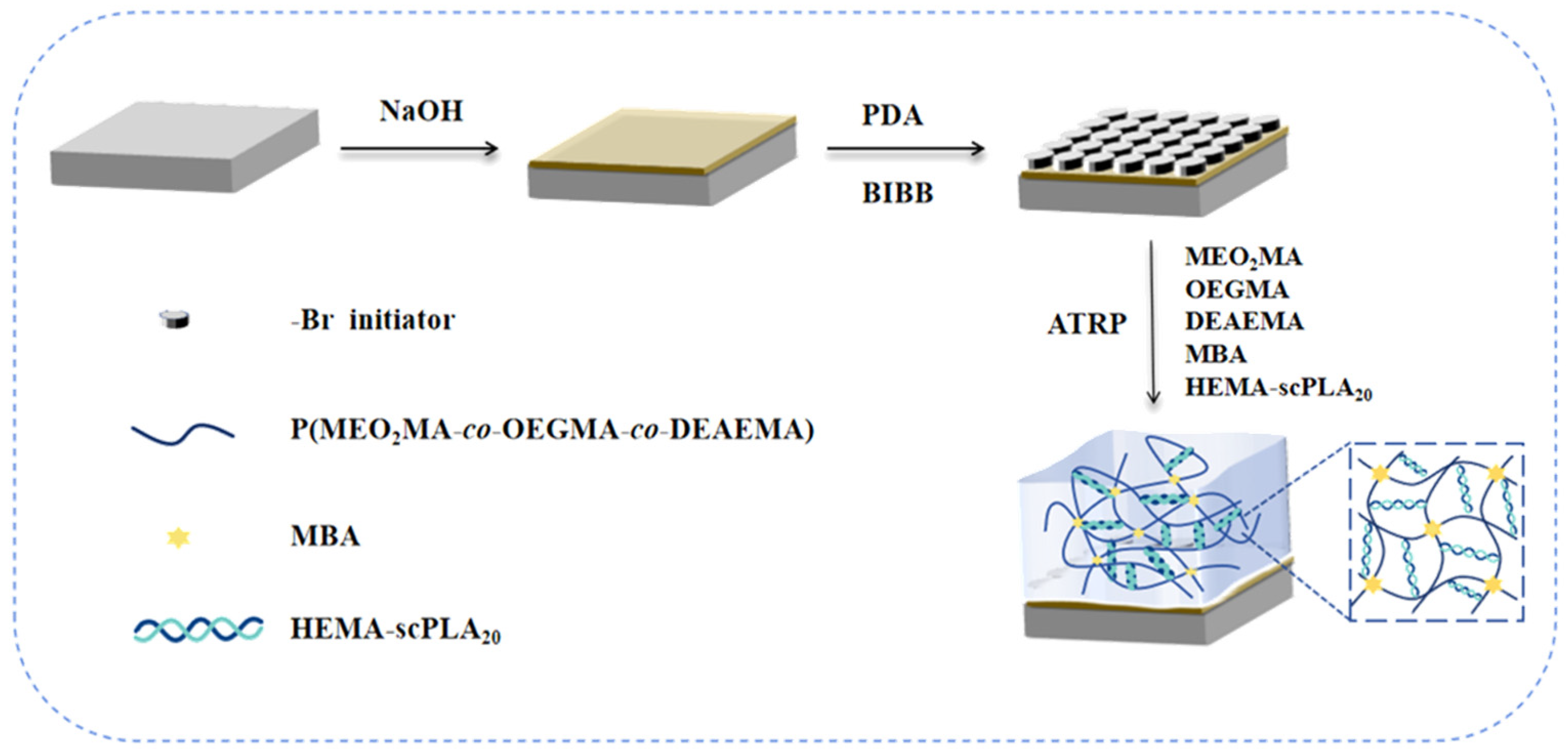 Gels 11 00443 sch002