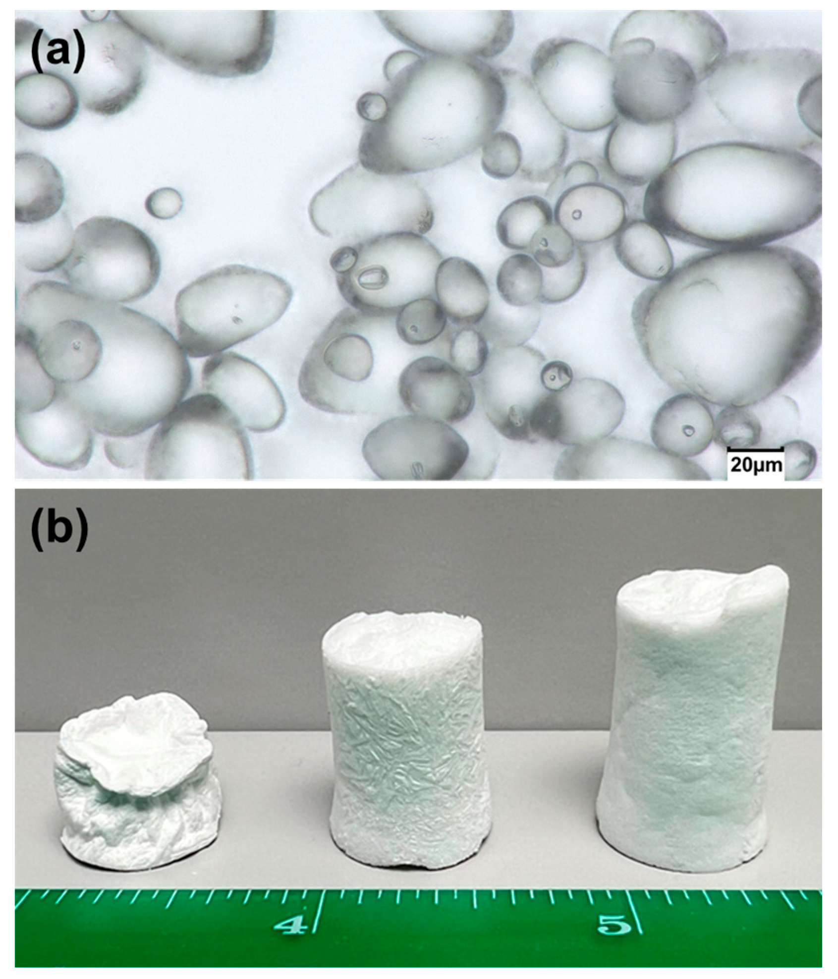 Gels 11 00467 g001 Gels 11 00467 g001