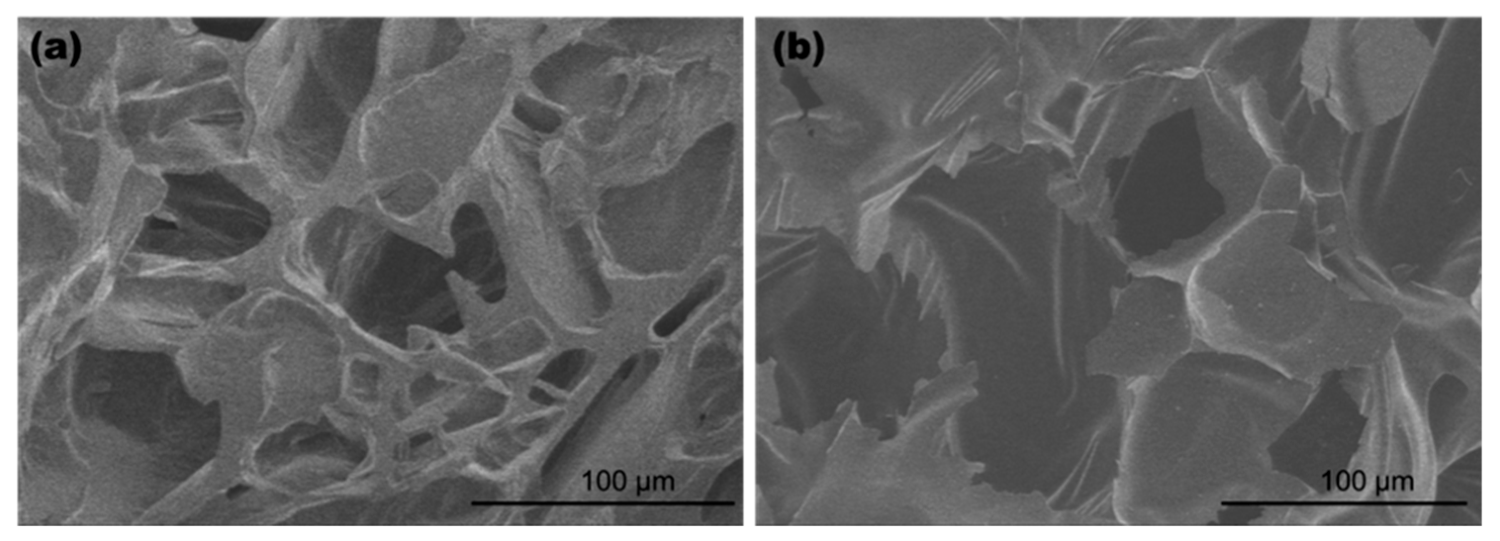 Gels 11 00467 g005 Gels 11 00467 g005