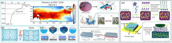 Environmentally Responsive Hydrogels and Composites Containing ...
